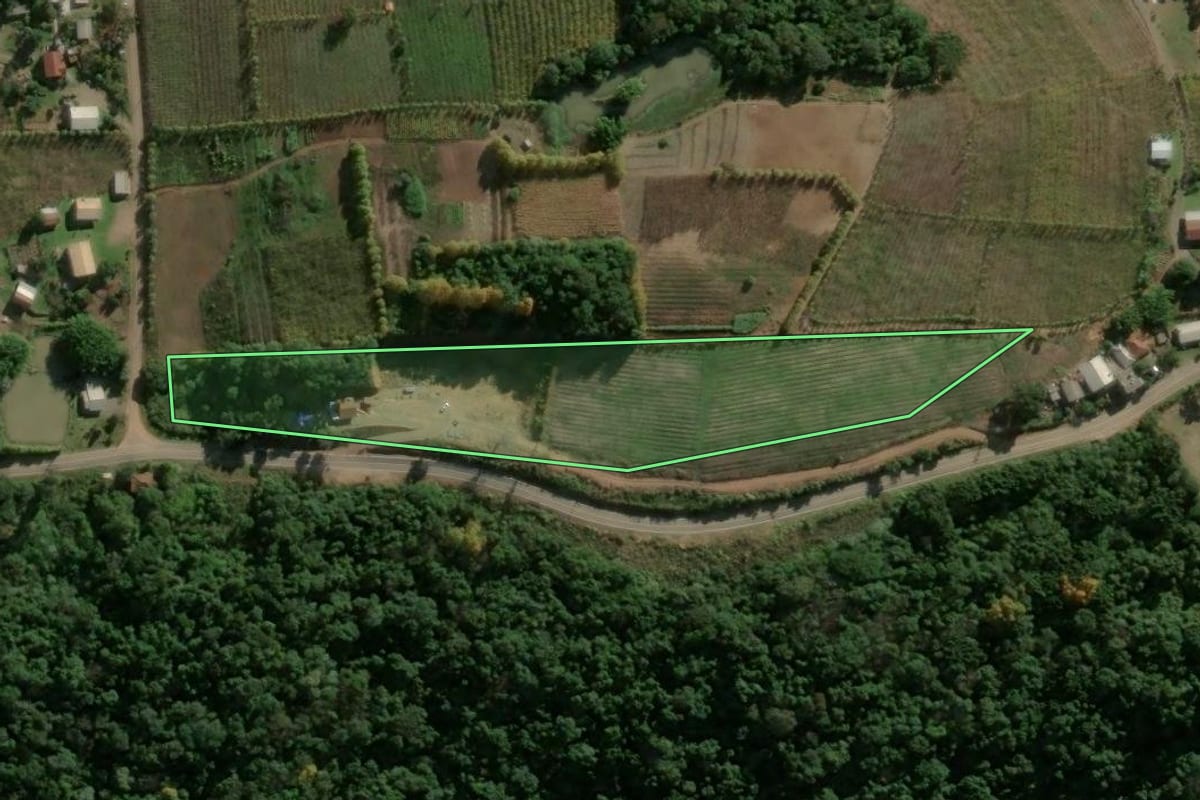 Imagem de satélite do imóvel rural em Monte Belo do Sul (RS), com o contorno declarado no CAR desenhado por cima.