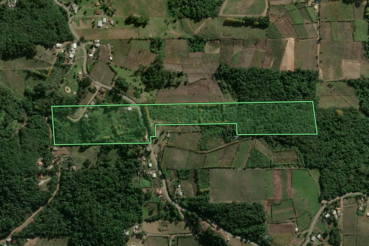 Imagem de satélite do imóvel rural em Monte Belo do Sul (RS), com o contorno declarado no CAR desenhado por cima.