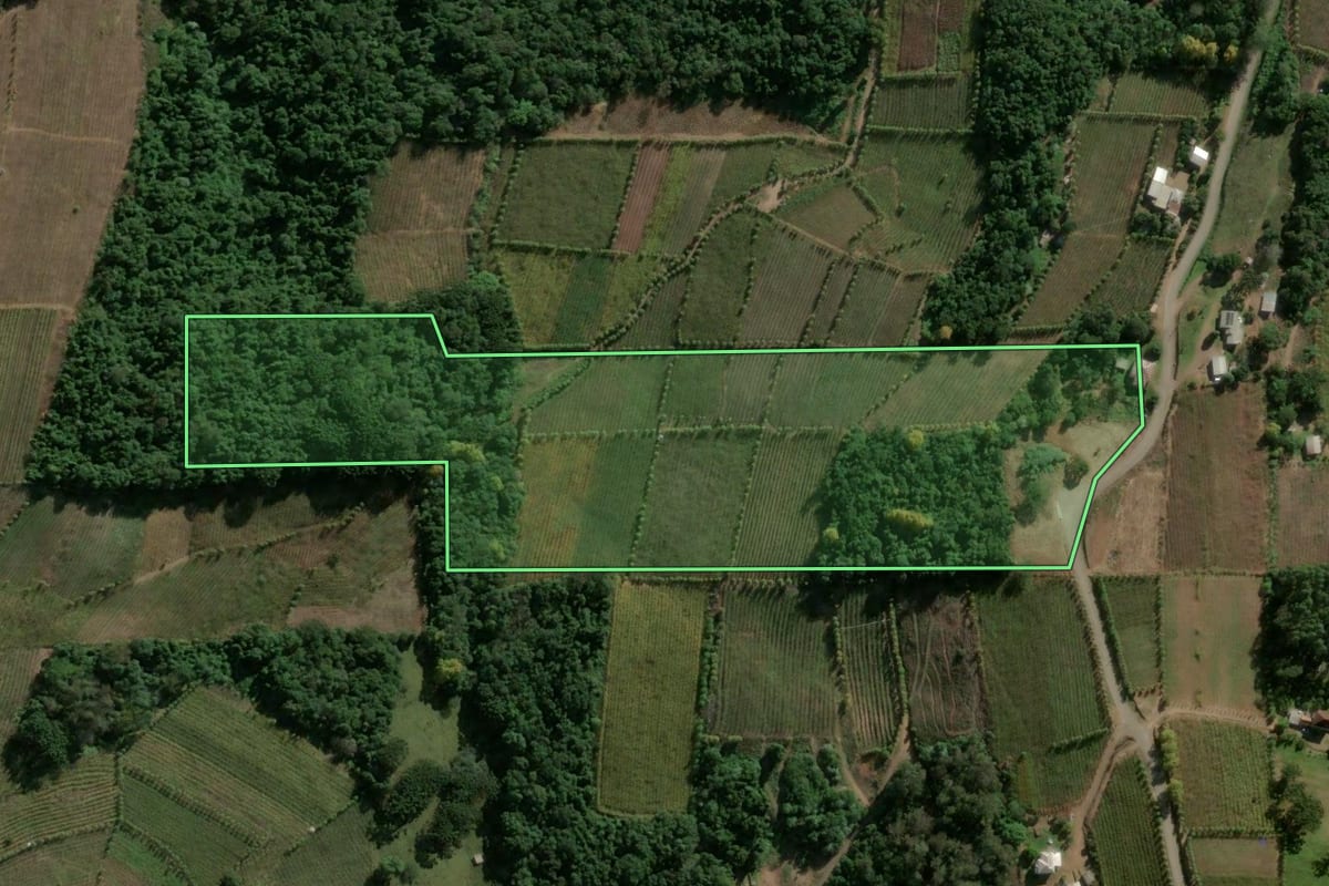 Imagem de satélite do imóvel rural em Monte Belo do Sul (RS), com o contorno declarado no CAR desenhado por cima.