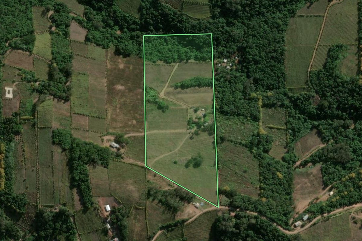 Imagem de satélite do imóvel rural em Monte Belo do Sul (RS), com o contorno declarado no CAR desenhado por cima.