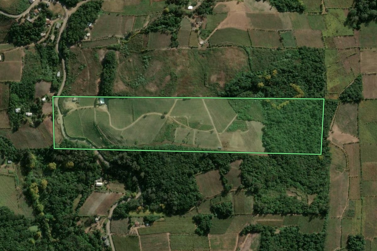 Imagem de satélite do imóvel rural em Monte Belo do Sul (RS), com o contorno declarado no CAR desenhado por cima.