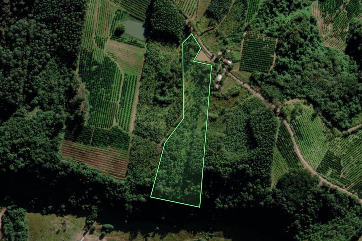 Imagem de satélite do imóvel rural em Montenegro (RS), com o contorno declarado no CAR desenhado por cima.
