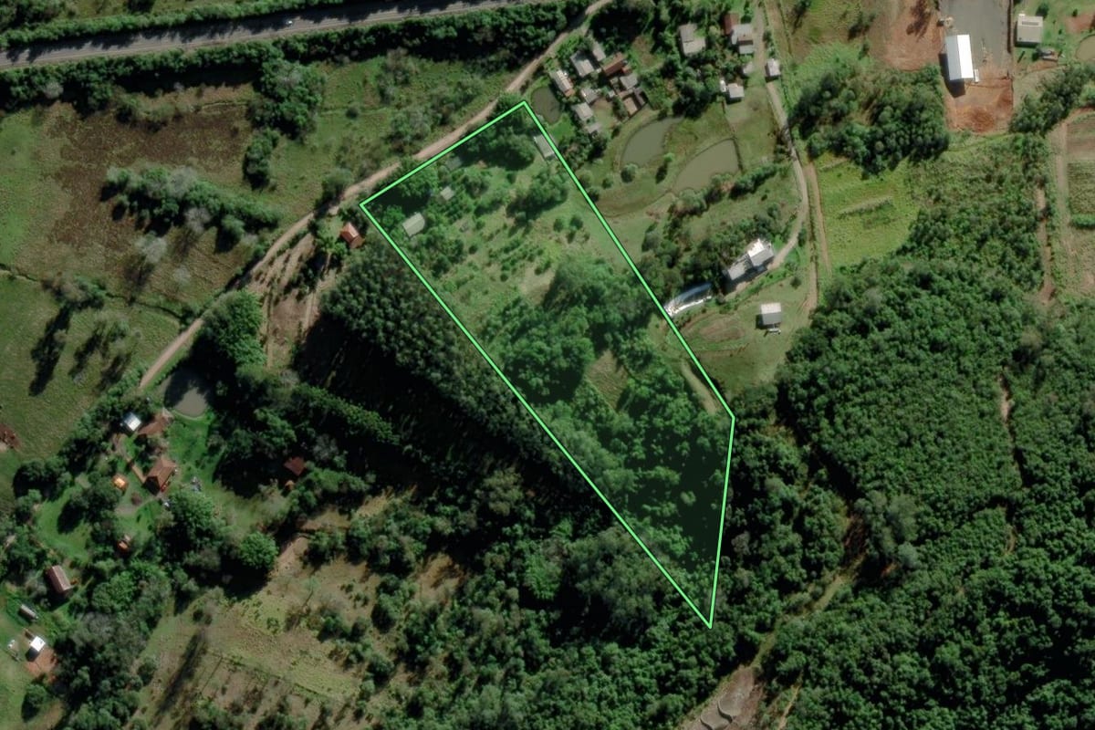 Imagem de satélite do imóvel rural em Montenegro (RS), com o contorno declarado no CAR desenhado por cima.