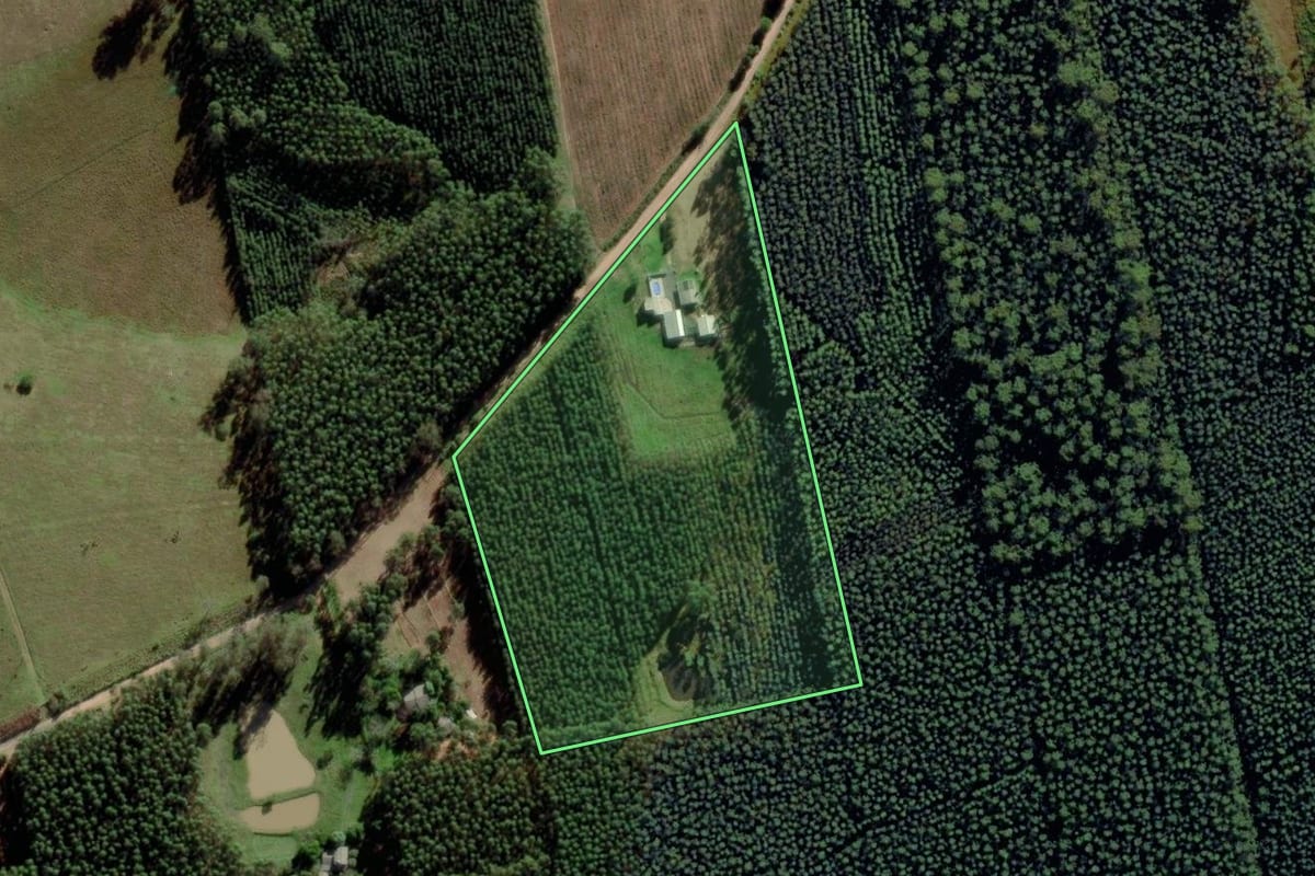 Imagem de satélite do imóvel rural em Montenegro (RS), com o contorno declarado no CAR desenhado por cima.
