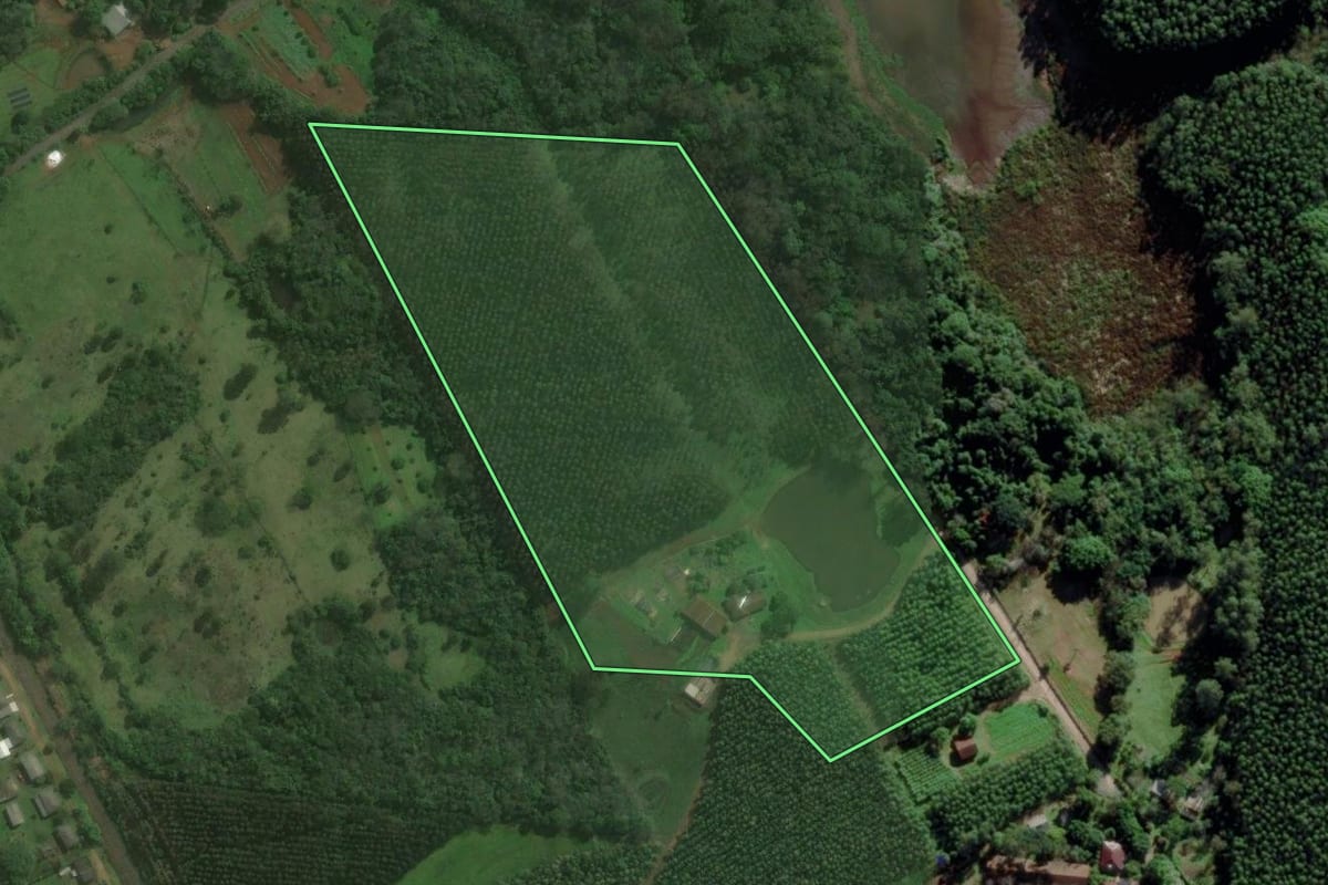 Imagem de satélite do imóvel rural em Montenegro (RS), com o contorno declarado no CAR desenhado por cima.