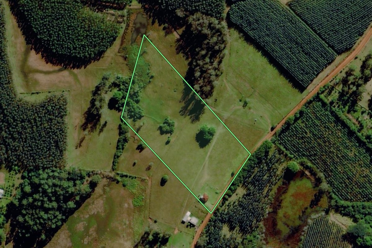 Imagem de satélite do imóvel rural em Montenegro (RS), com o contorno declarado no CAR desenhado por cima.