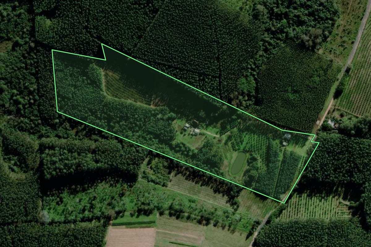 Imagem de satélite do imóvel rural em Montenegro (RS), com o contorno declarado no CAR desenhado por cima.