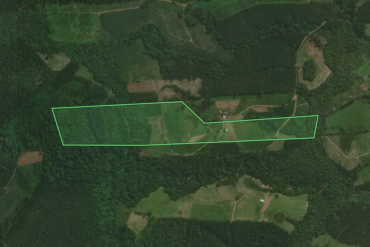 Imagem de satélite do imóvel rural em Montenegro (RS), com o contorno declarado no CAR desenhado por cima.