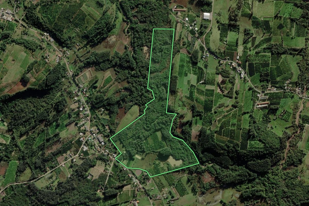 Imagem de satélite do imóvel rural em Montenegro (RS), com o contorno declarado no CAR desenhado por cima.