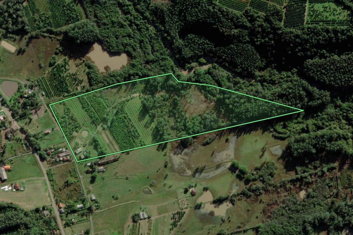 Imagem de satélite do imóvel rural em Montenegro (RS), com o contorno declarado no CAR desenhado por cima.