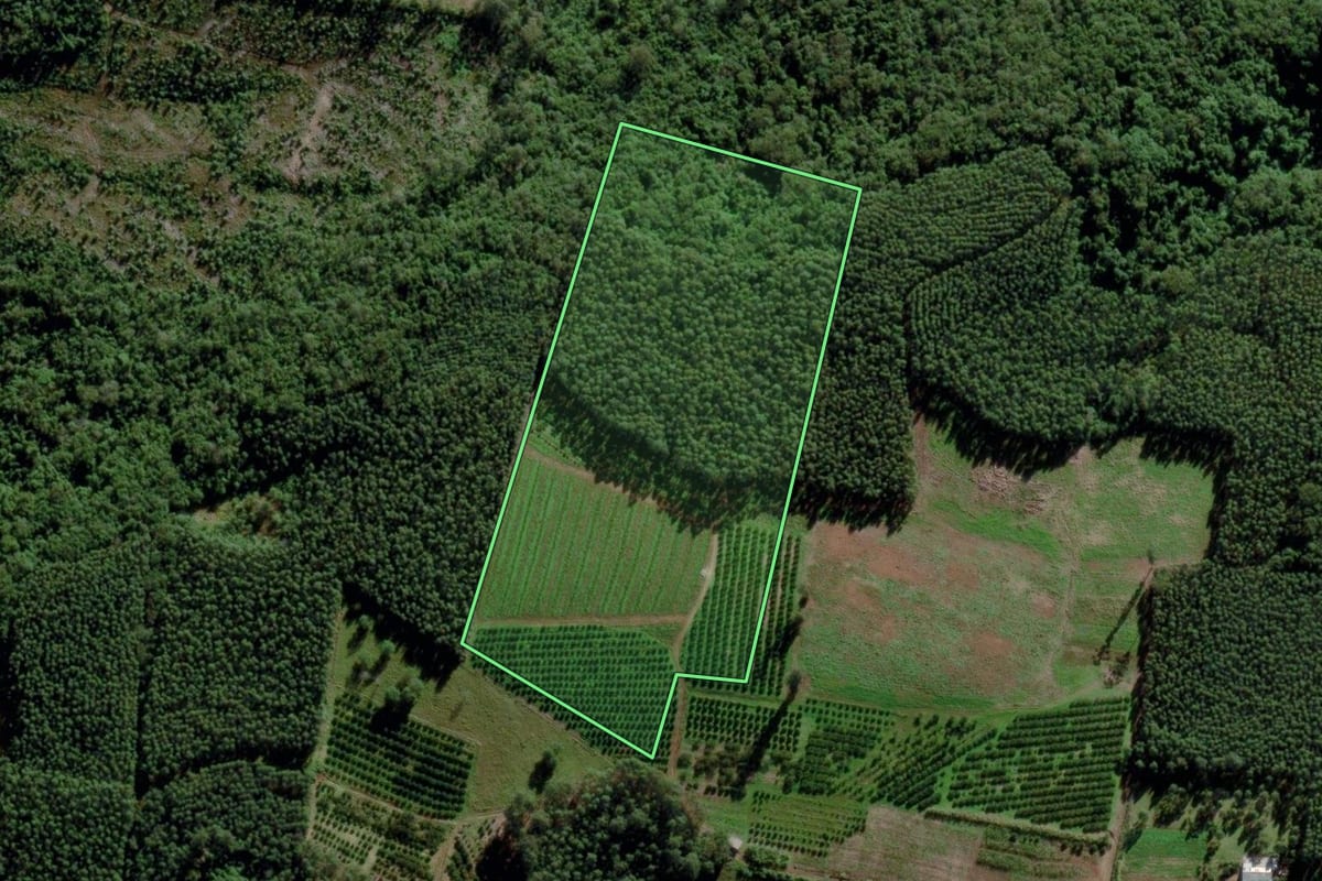 Imagem de satélite do imóvel rural em Montenegro (RS), com o contorno declarado no CAR desenhado por cima.