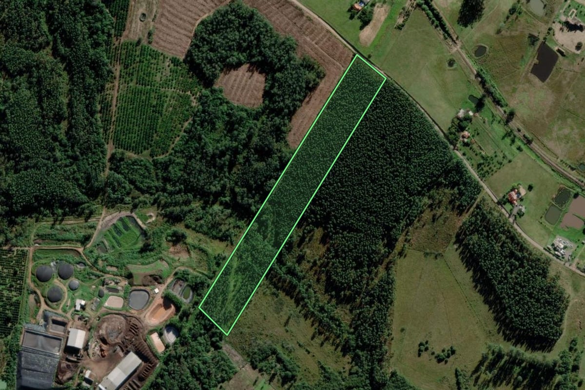 Imagem de satélite do imóvel rural em Montenegro (RS), com o contorno declarado no CAR desenhado por cima.