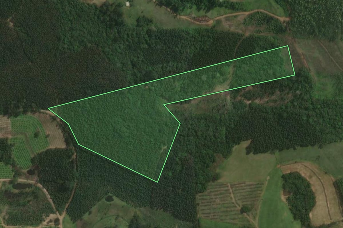 Imagem de satélite do imóvel rural em Montenegro (RS), com o contorno declarado no CAR desenhado por cima.
