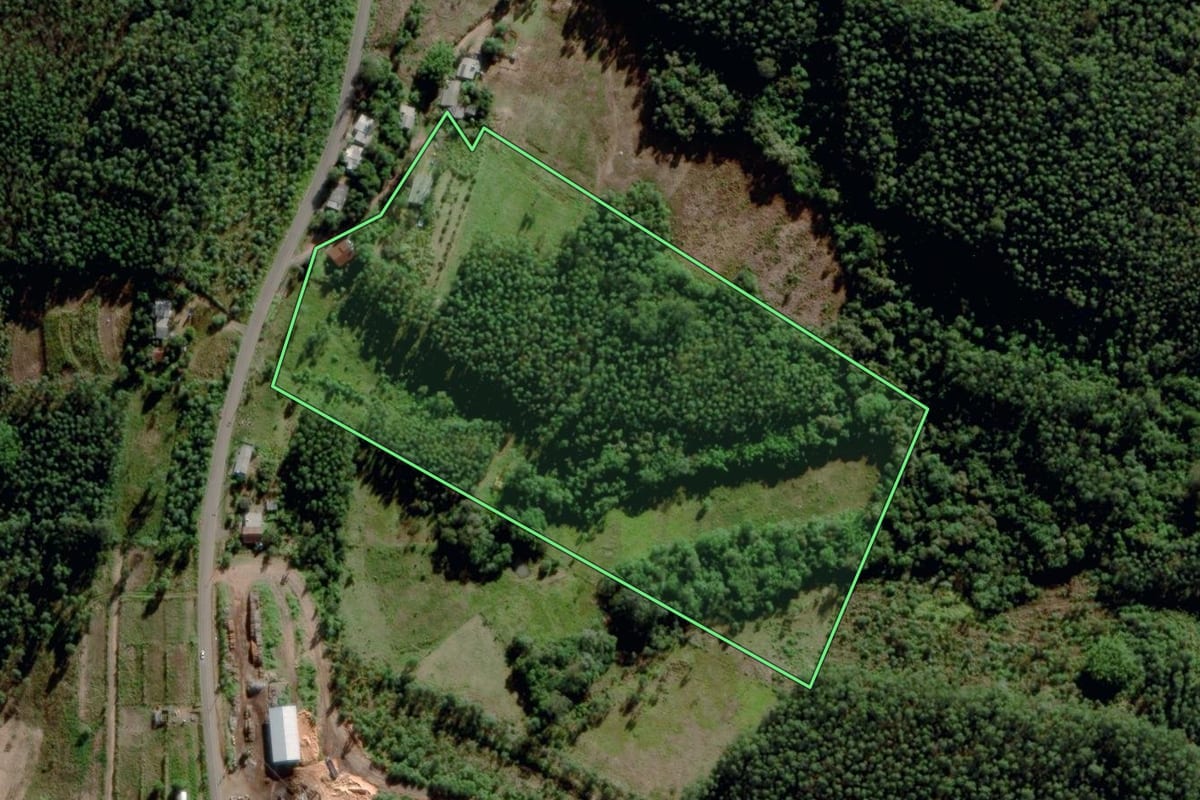 Imagem de satélite do imóvel rural em Montenegro (RS), com o contorno declarado no CAR desenhado por cima.