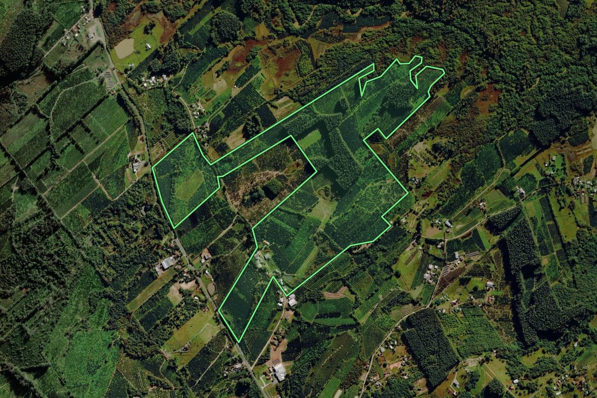 Imagem de satélite do imóvel rural em Montenegro (RS), com o contorno declarado no CAR desenhado por cima.