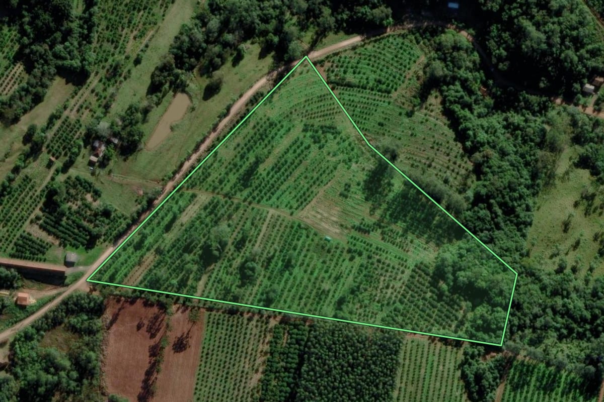 Imagem de satélite do imóvel rural em Montenegro (RS), com o contorno declarado no CAR desenhado por cima.