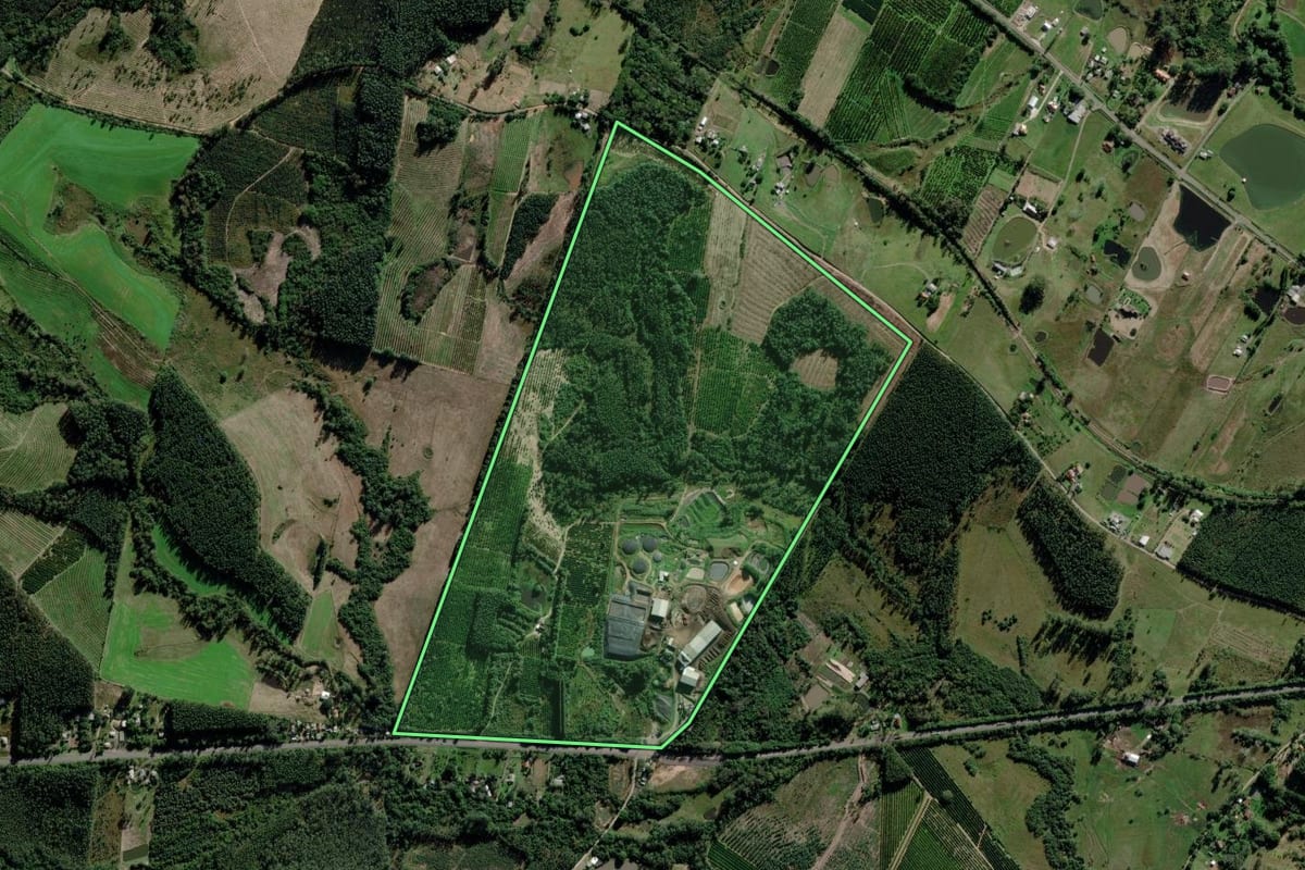 Imagem de satélite do imóvel rural em Montenegro (RS), com o contorno declarado no CAR desenhado por cima.