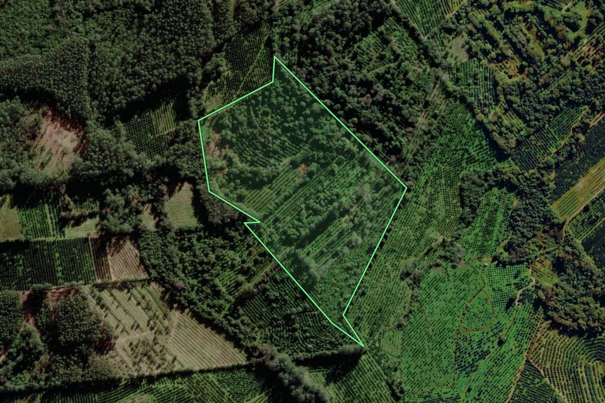 Imagem de satélite do imóvel rural em Montenegro (RS), com o contorno declarado no CAR desenhado por cima.