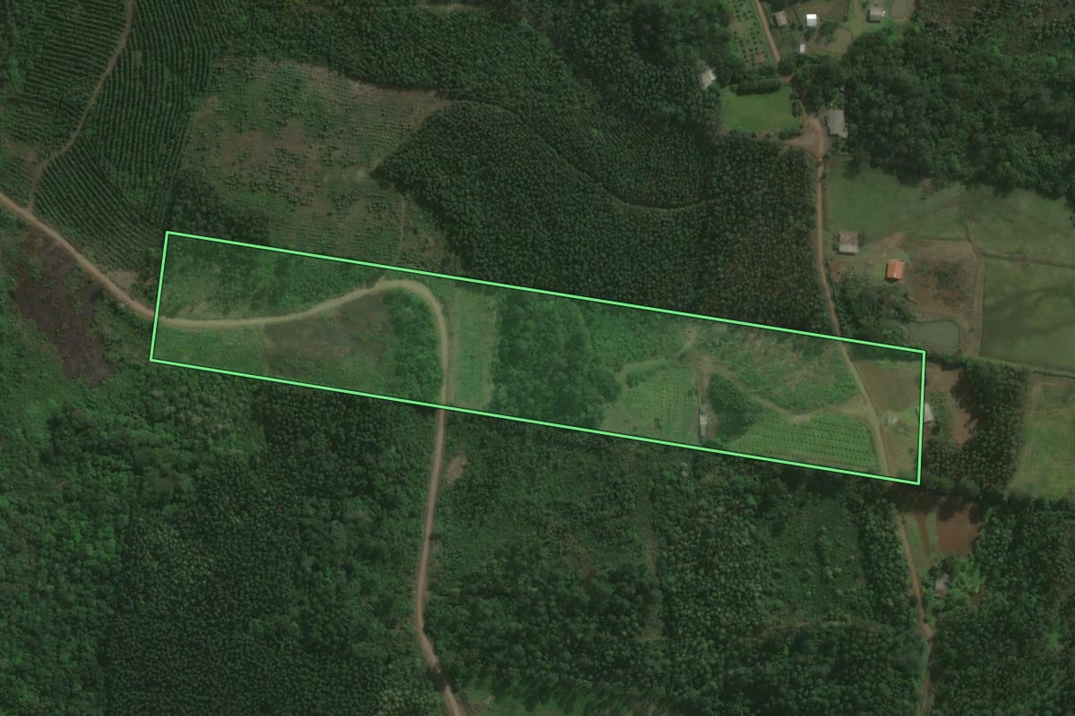 Imagem de satélite do imóvel rural em Montenegro (RS), com o contorno declarado no CAR desenhado por cima.