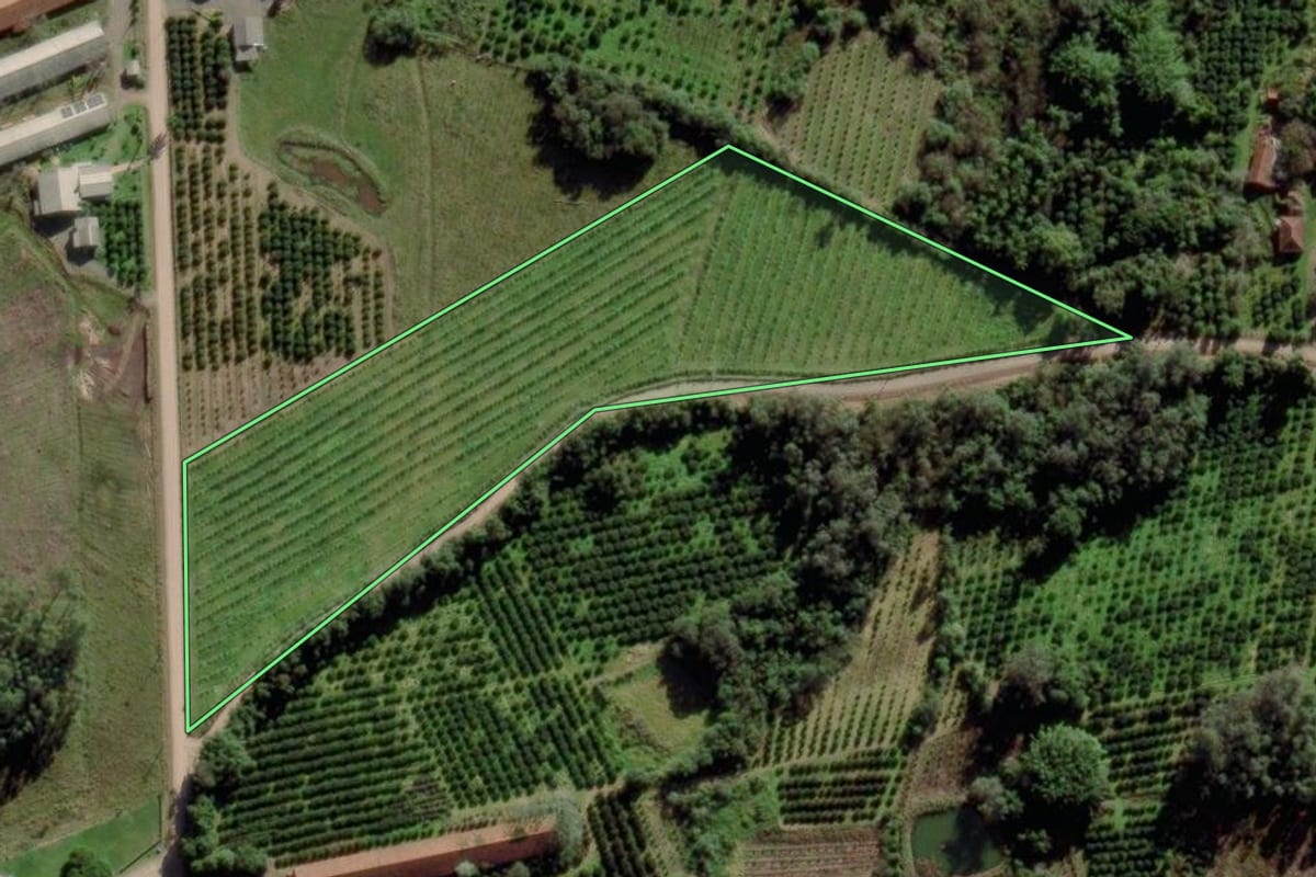 Imagem de satélite do imóvel rural em Montenegro (RS), com o contorno declarado no CAR desenhado por cima.