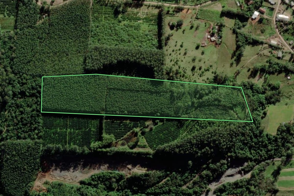 Imagem de satélite do imóvel rural em Montenegro (RS), com o contorno declarado no CAR desenhado por cima.