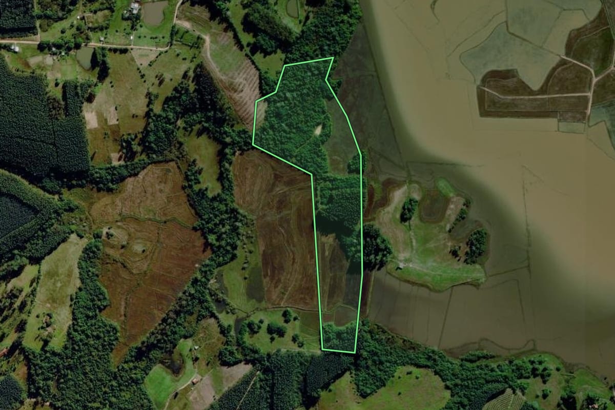 Imagem de satélite do imóvel rural em Montenegro (RS), com o contorno declarado no CAR desenhado por cima.