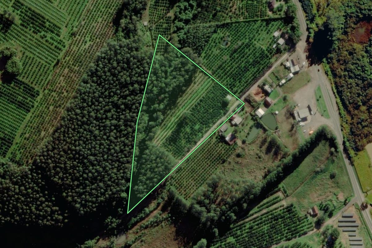 Imagem de satélite do imóvel rural em Montenegro (RS), com o contorno declarado no CAR desenhado por cima.