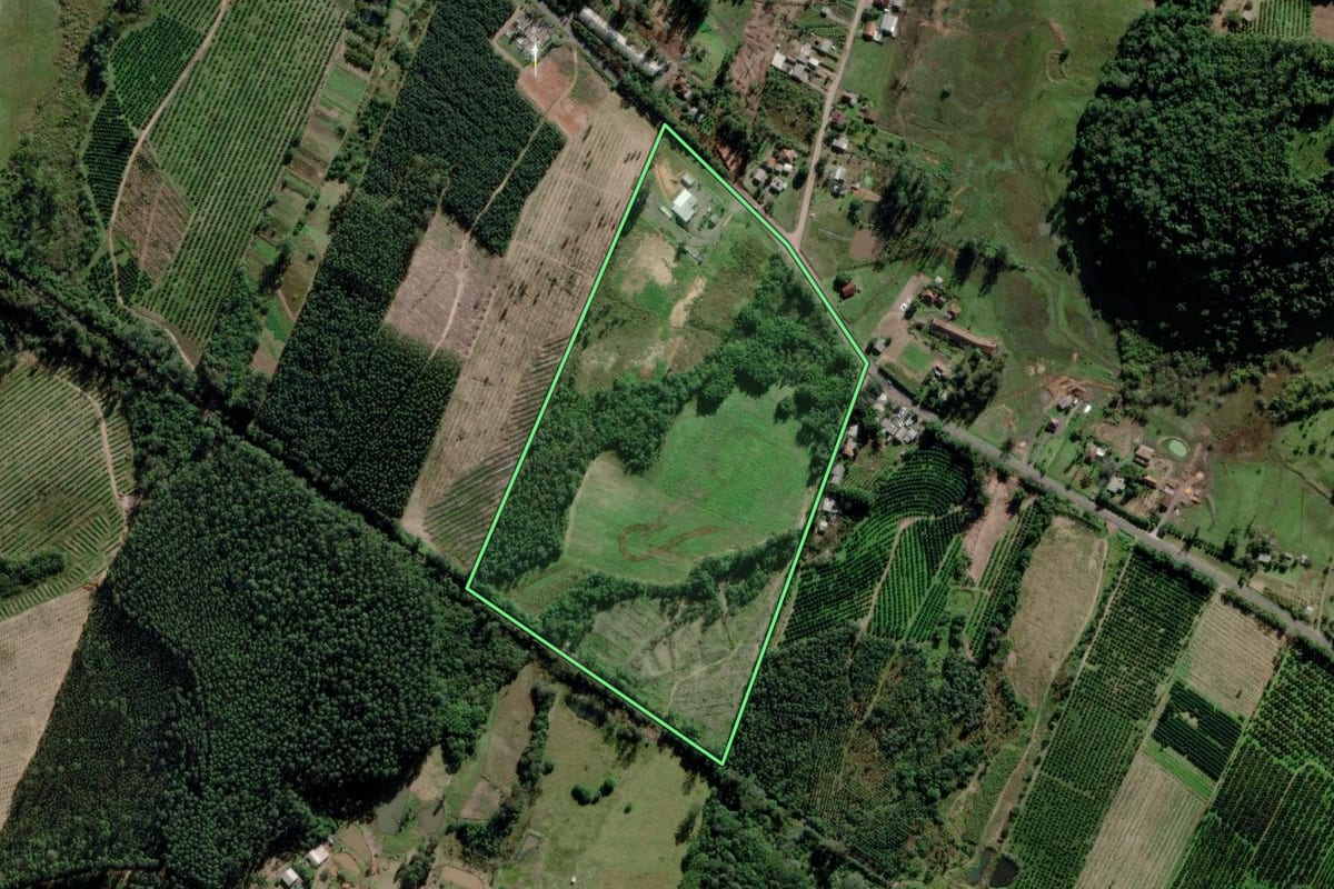 Imagem de satélite do imóvel rural em Montenegro (RS), com o contorno declarado no CAR desenhado por cima.