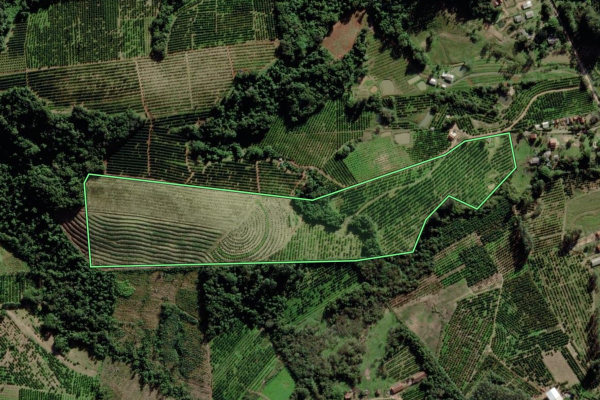 Imagem de satélite do imóvel rural em Montenegro (RS), com o contorno declarado no CAR desenhado por cima.