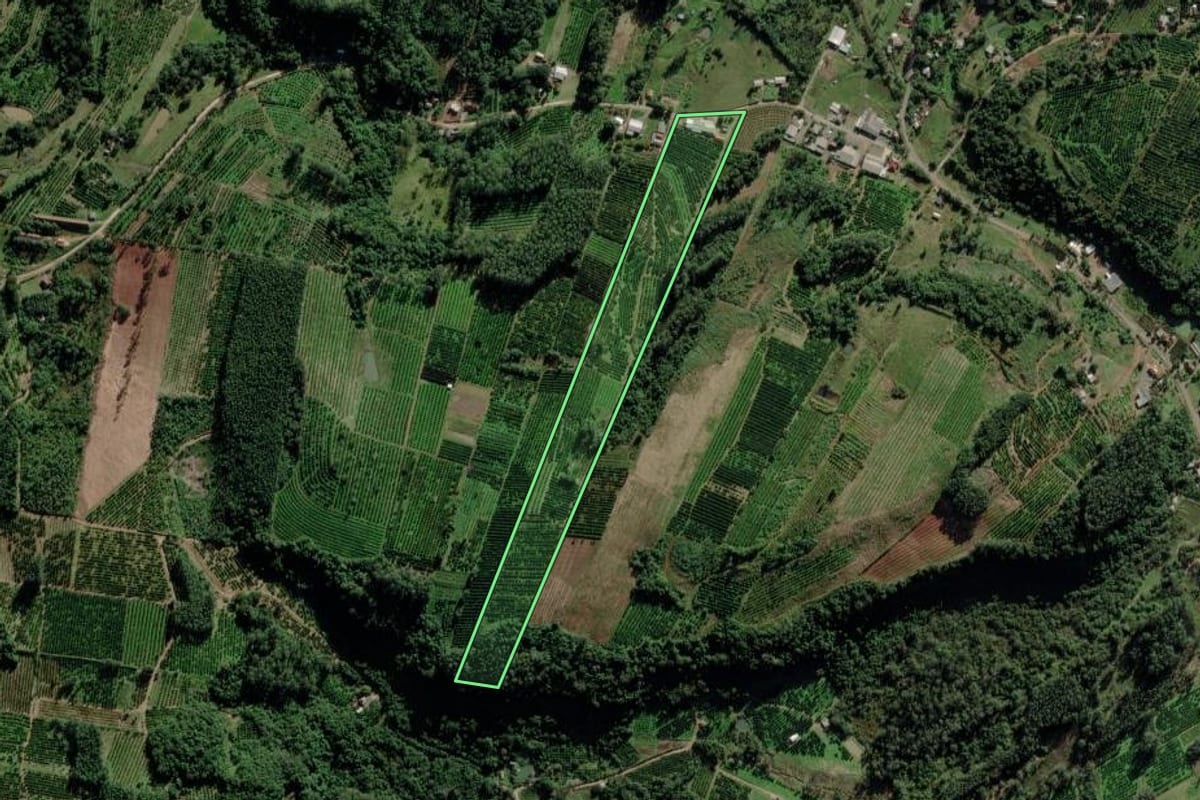 Imagem de satélite do imóvel rural em Montenegro (RS), com o contorno declarado no CAR desenhado por cima.