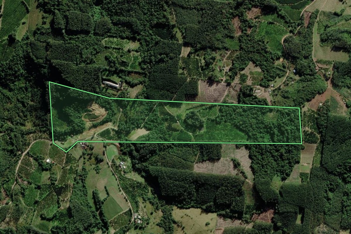 Imagem de satélite do imóvel rural em Montenegro (RS), com o contorno declarado no CAR desenhado por cima.