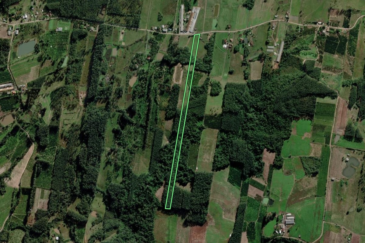 Imagem de satélite do imóvel rural em Montenegro (RS), com o contorno declarado no CAR desenhado por cima.