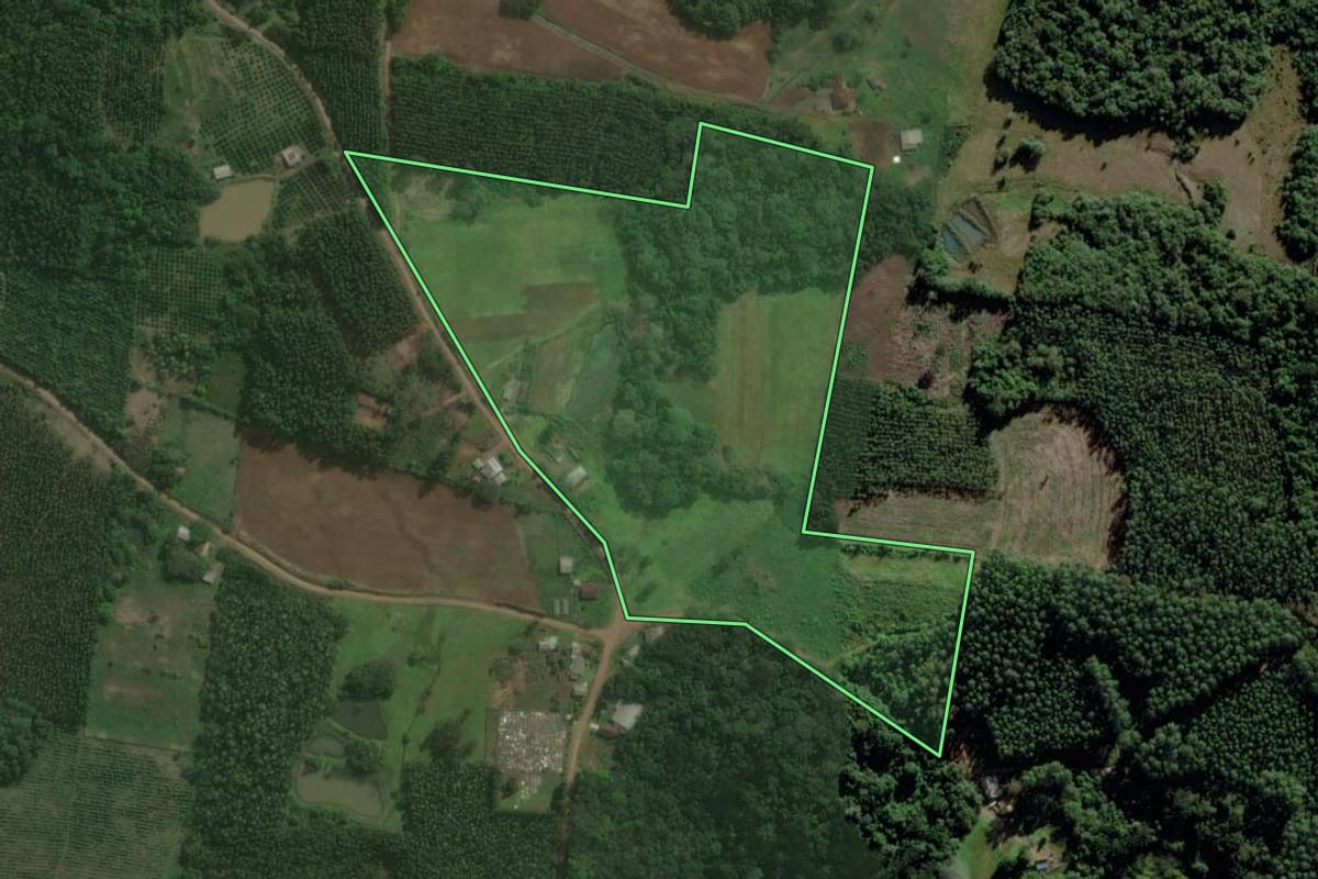 Imagem de satélite do imóvel rural em Montenegro (RS), com o contorno declarado no CAR desenhado por cima.