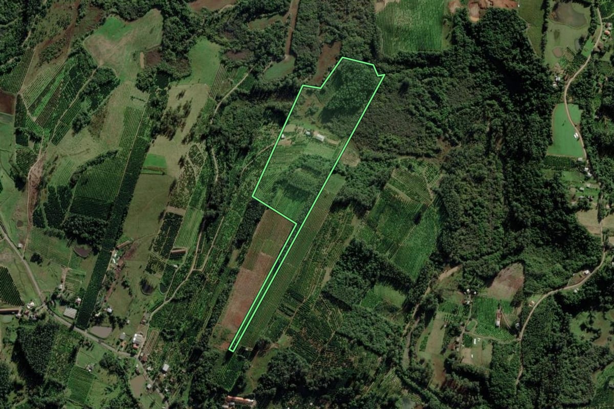 Imagem de satélite do imóvel rural em Montenegro (RS), com o contorno declarado no CAR desenhado por cima.