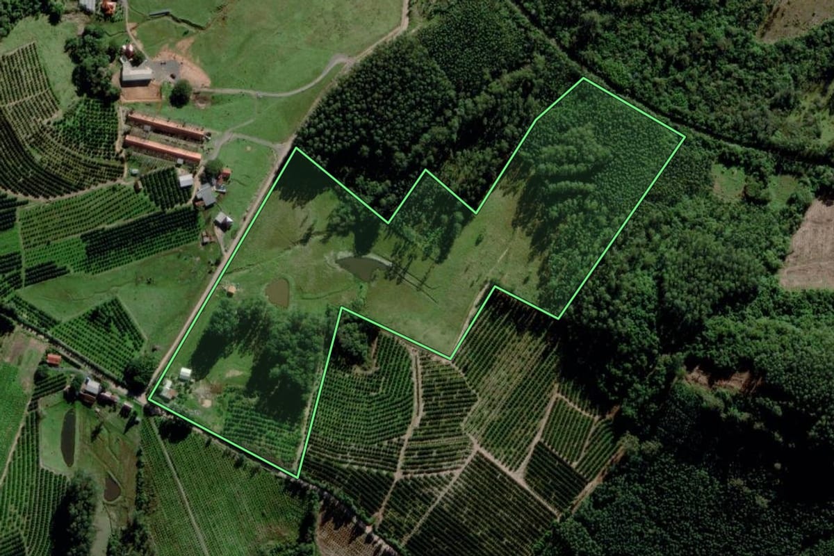 Imagem de satélite do imóvel rural em Montenegro (RS), com o contorno declarado no CAR desenhado por cima.