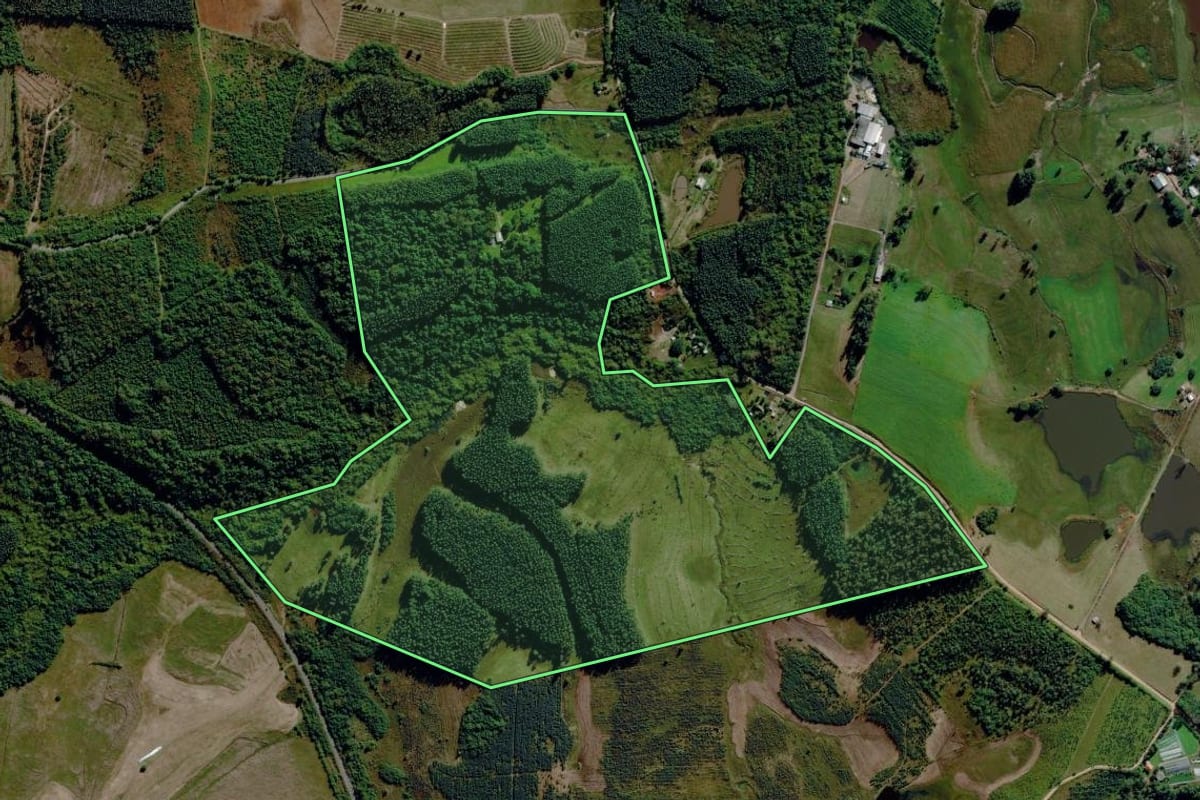 Imagem de satélite do imóvel rural em Montenegro (RS), com o contorno declarado no CAR desenhado por cima.