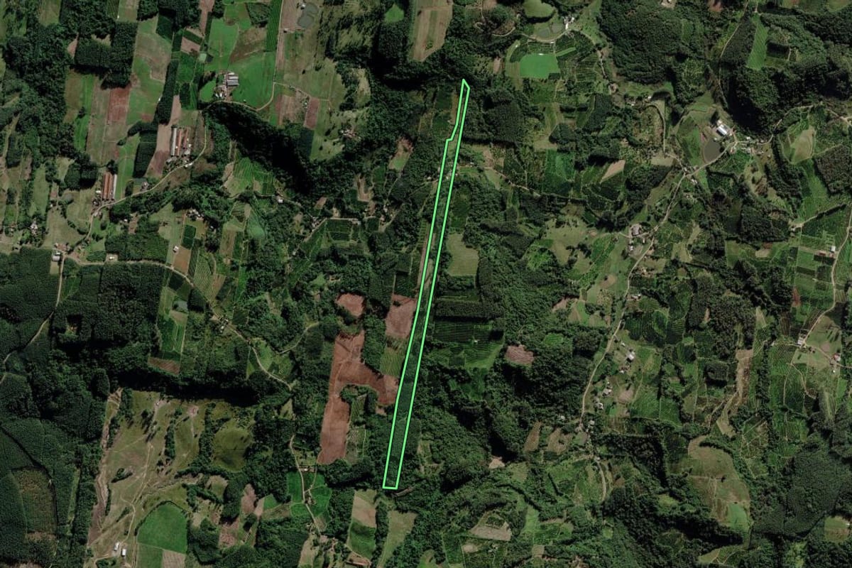 Imagem de satélite do imóvel rural em Montenegro (RS), com o contorno declarado no CAR desenhado por cima.