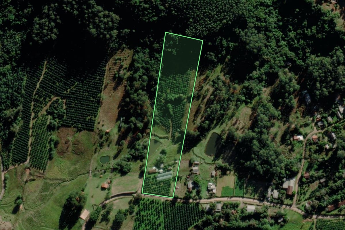 Imagem de satélite do imóvel rural em Montenegro (RS), com o contorno declarado no CAR desenhado por cima.