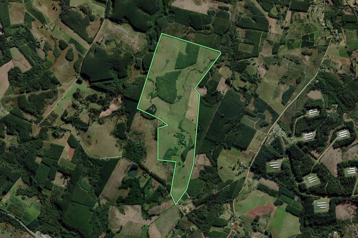 Imagem de satélite do imóvel rural em Montenegro (RS), com o contorno declarado no CAR desenhado por cima.