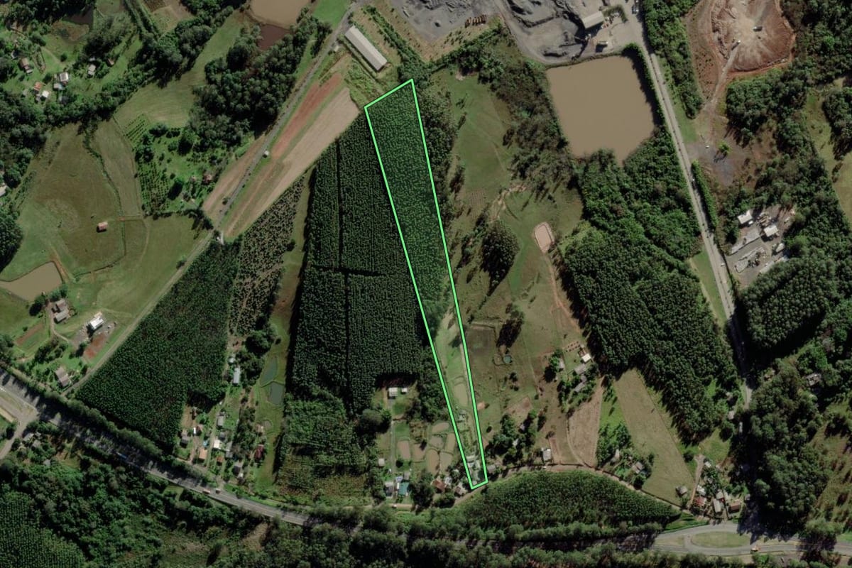 Imagem de satélite do imóvel rural em Montenegro (RS), com o contorno declarado no CAR desenhado por cima.