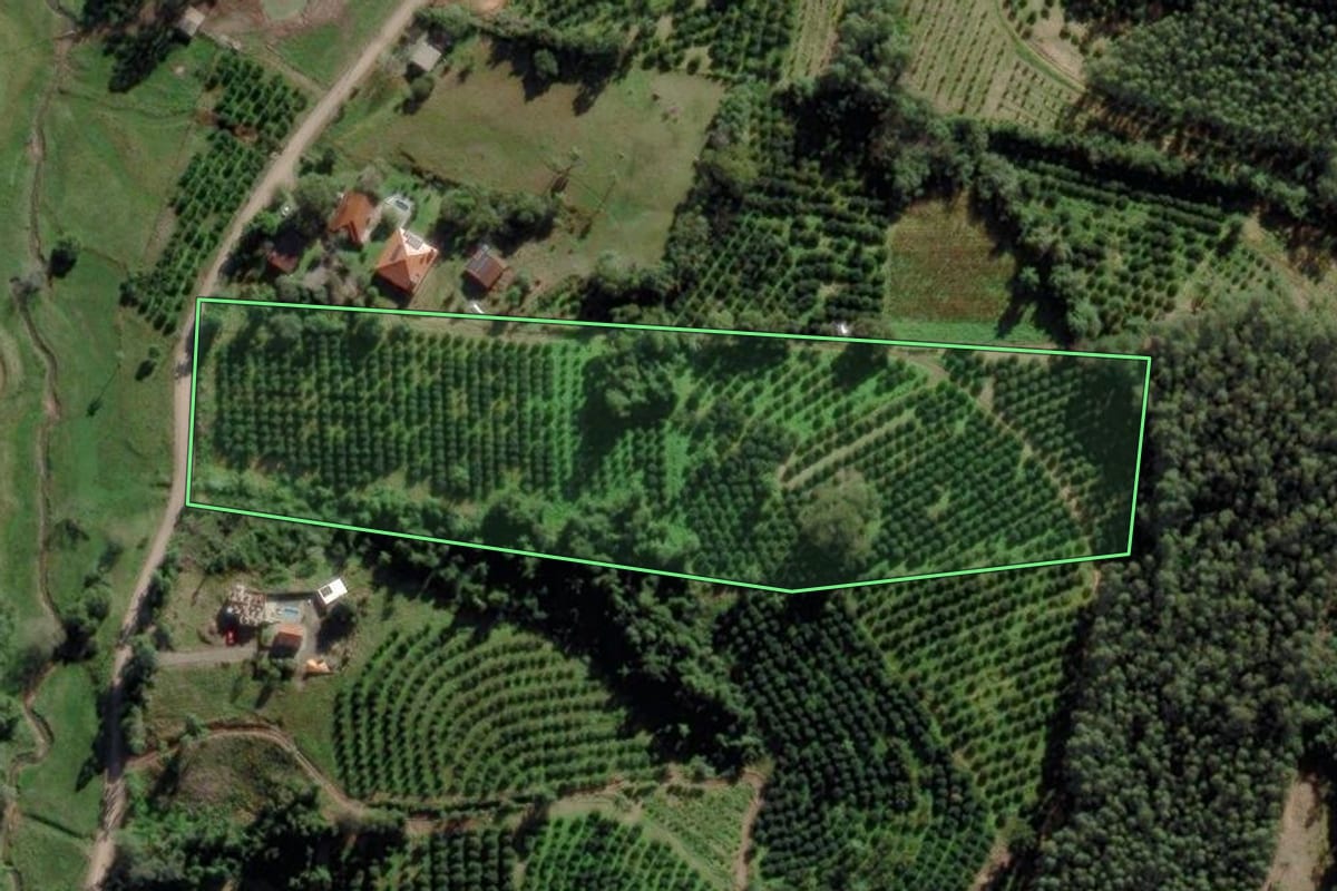 Imagem de satélite do imóvel rural em Montenegro (RS), com o contorno declarado no CAR desenhado por cima.