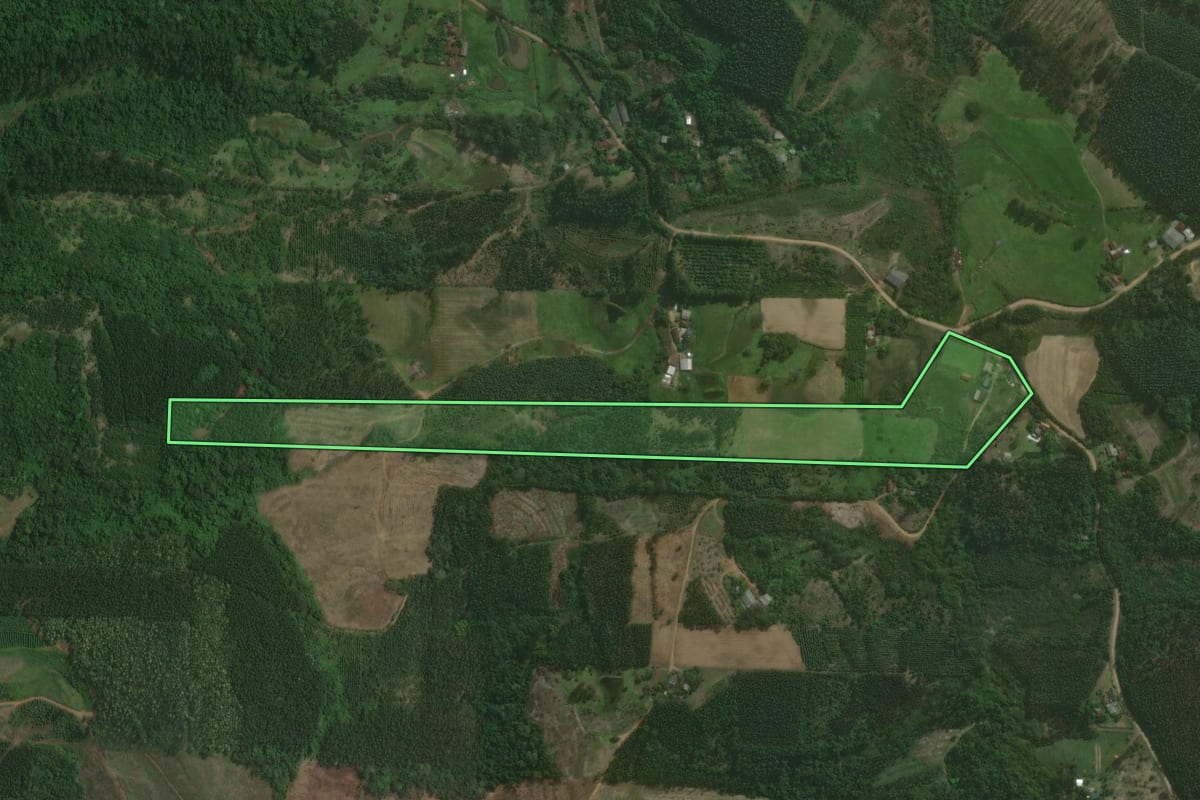 Imagem de satélite do imóvel rural em Montenegro (RS), com o contorno declarado no CAR desenhado por cima.