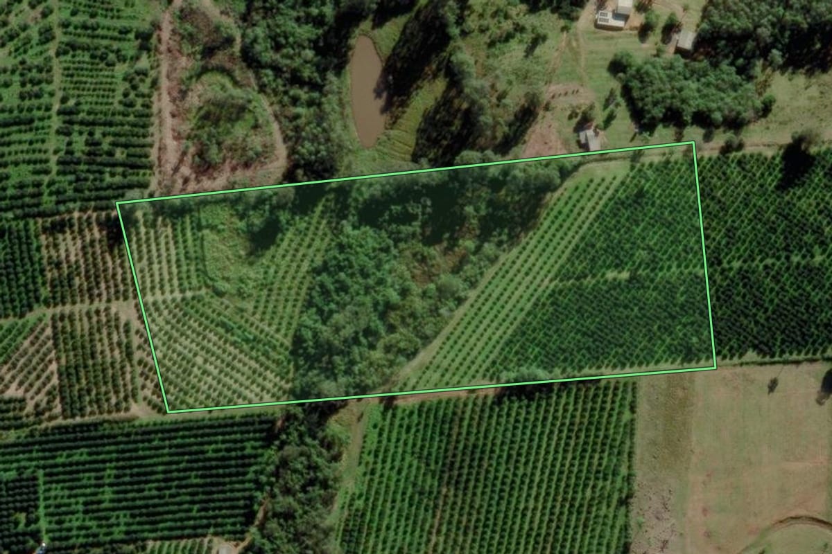 Imagem de satélite do imóvel rural em Montenegro (RS), com o contorno declarado no CAR desenhado por cima.