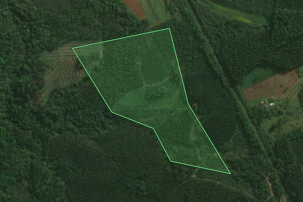 Imagem de satélite do imóvel rural em Montenegro (RS), com o contorno declarado no CAR desenhado por cima.