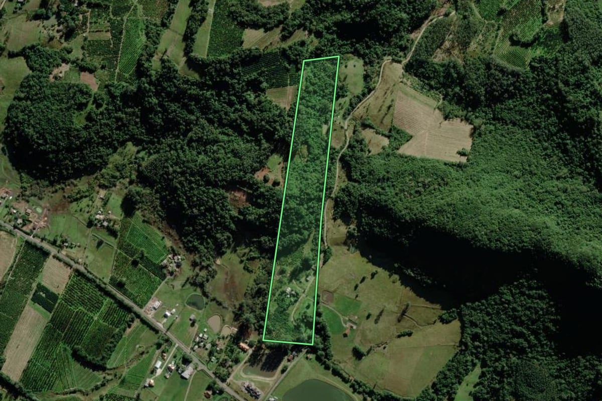 Imagem de satélite do imóvel rural em Montenegro (RS), com o contorno declarado no CAR desenhado por cima.