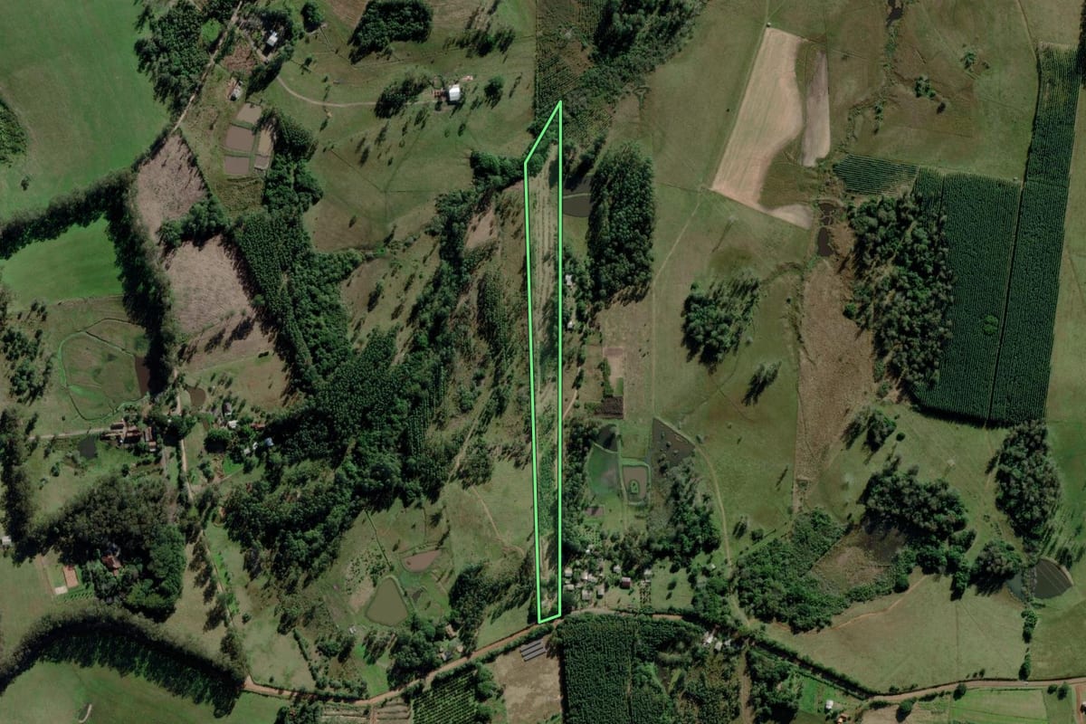 Imagem de satélite do imóvel rural em Montenegro (RS), com o contorno declarado no CAR desenhado por cima.