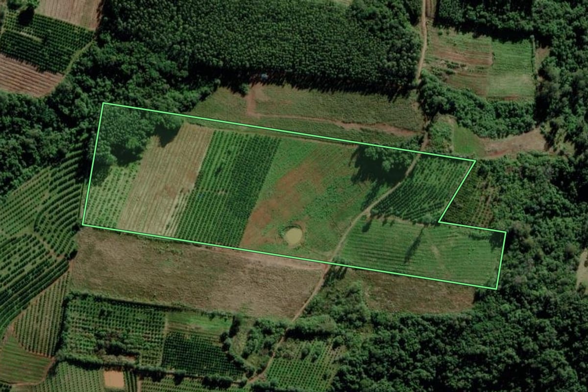 Imagem de satélite do imóvel rural em Montenegro (RS), com o contorno declarado no CAR desenhado por cima.