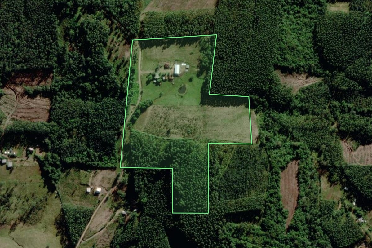 Imagem de satélite do imóvel rural em Montenegro (RS), com o contorno declarado no CAR desenhado por cima.