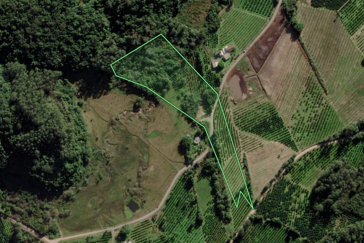 Imagem de satélite do imóvel rural em Montenegro (RS), com o contorno declarado no CAR desenhado por cima.