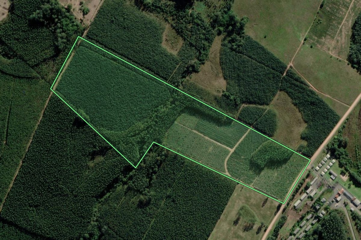 Imagem de satélite do imóvel rural em Montenegro (RS), com o contorno declarado no CAR desenhado por cima.